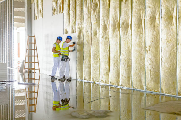 Best Types of Insulation in Tripoli, IA